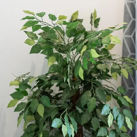 Bright 1bdr Flat In By Lovelystay אלבופיירה